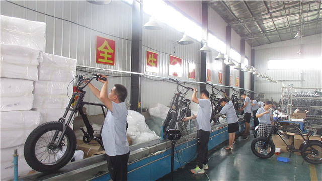 COMAX E BIKE MANUFACTURING CO., LIMITED Electric Bicycle