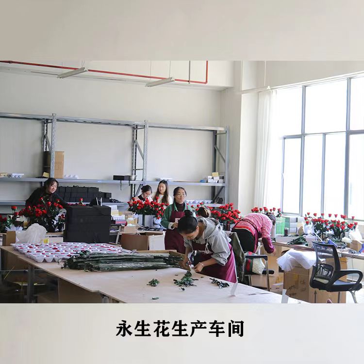 Yunnan Angel Flowers Co., Ltd. Dried flowers