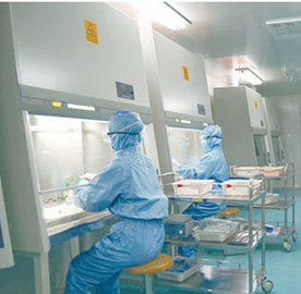 Shijiazhuang Marss Technology Limited Dermal Filler