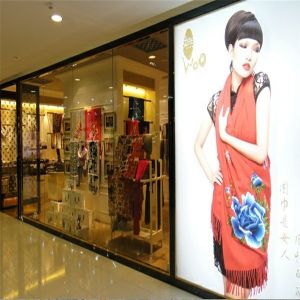 luxury Fashion popular garment/clothes store glass display cabinet showcase