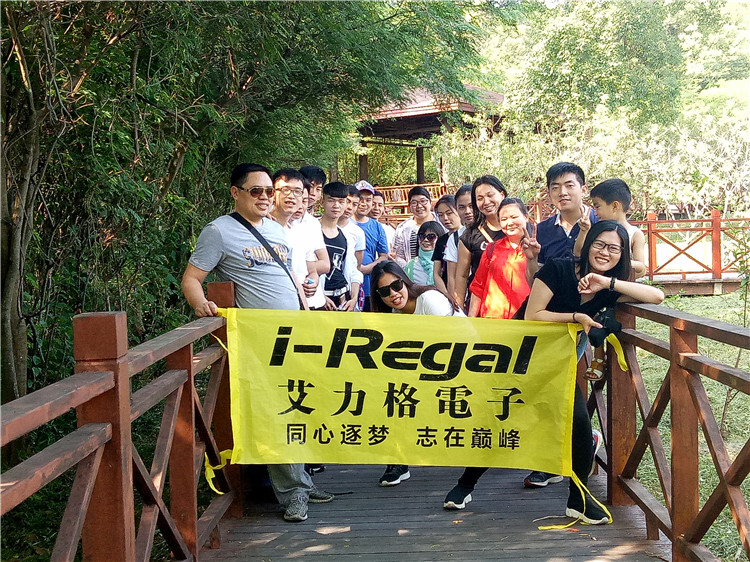 Zhongshan i-Regal Electronics Co., Ltd. Car Charger