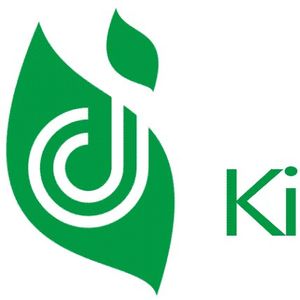 Company icon
