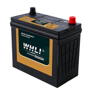 Japan Standard Largestar MF 55B24L 12V45AH automotive battery MF car battery