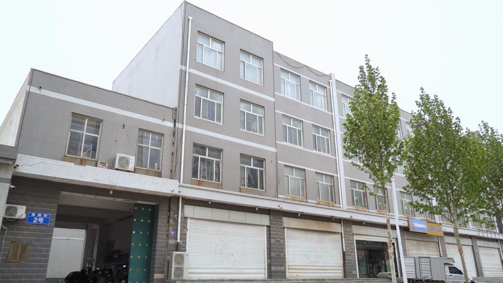 Xin Ji Geshida Apparel&accessories Co., Ltd. factory image 2