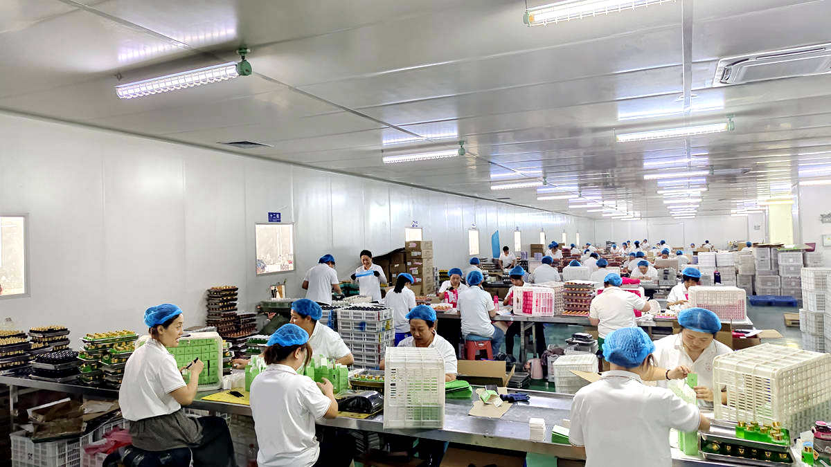 Shandong Aili Cosmetics Co., Ltd. factory image 5