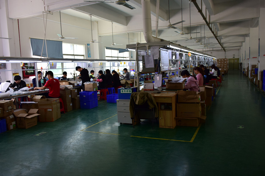 Shenzhen Dioran Industry Co., Ltd. Hair flat iron
