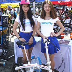 Foshan TDJDC Bicycle Science And Technology Co., Ltd. Shaft Drive Bike