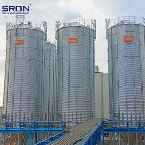 Bulk Grain Silo for Agricultural Storage Solutions