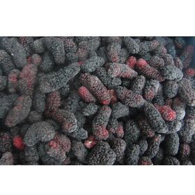 Wholesale cheap bulk passed new crop frozen fruit mulberry fruit
