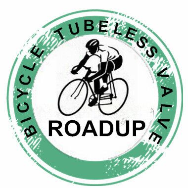 Qingdao Roadup Vehicle Parts Co., Ltd. logo