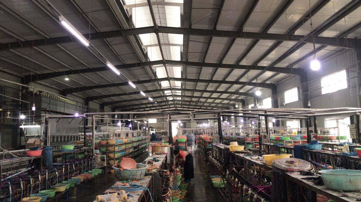 Zhanjiang Broad Rubber Industry Co., Ltd. Resistance Bands