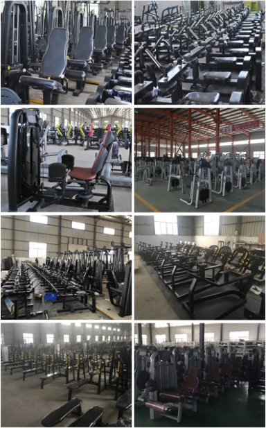 Shandong Zhongti Shijia Trading Co., Ltd. Comprehensive training device