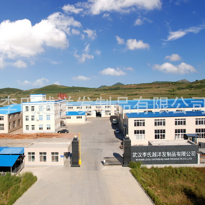 Wuhan Lees Overseas Hair Products Co., Ltd. factory image 1