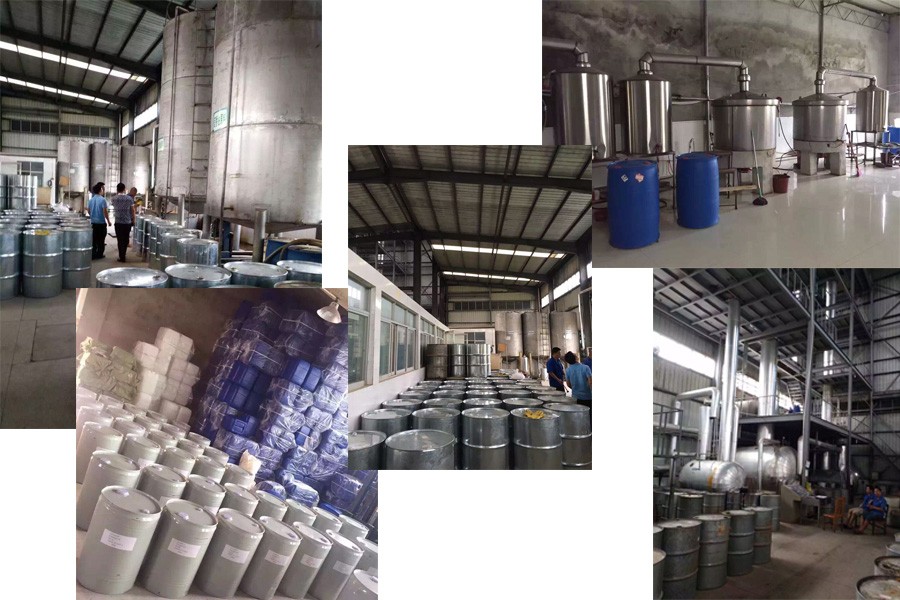 Jiangxi Global Natural Spice Co., Ltd. Plant Extracts