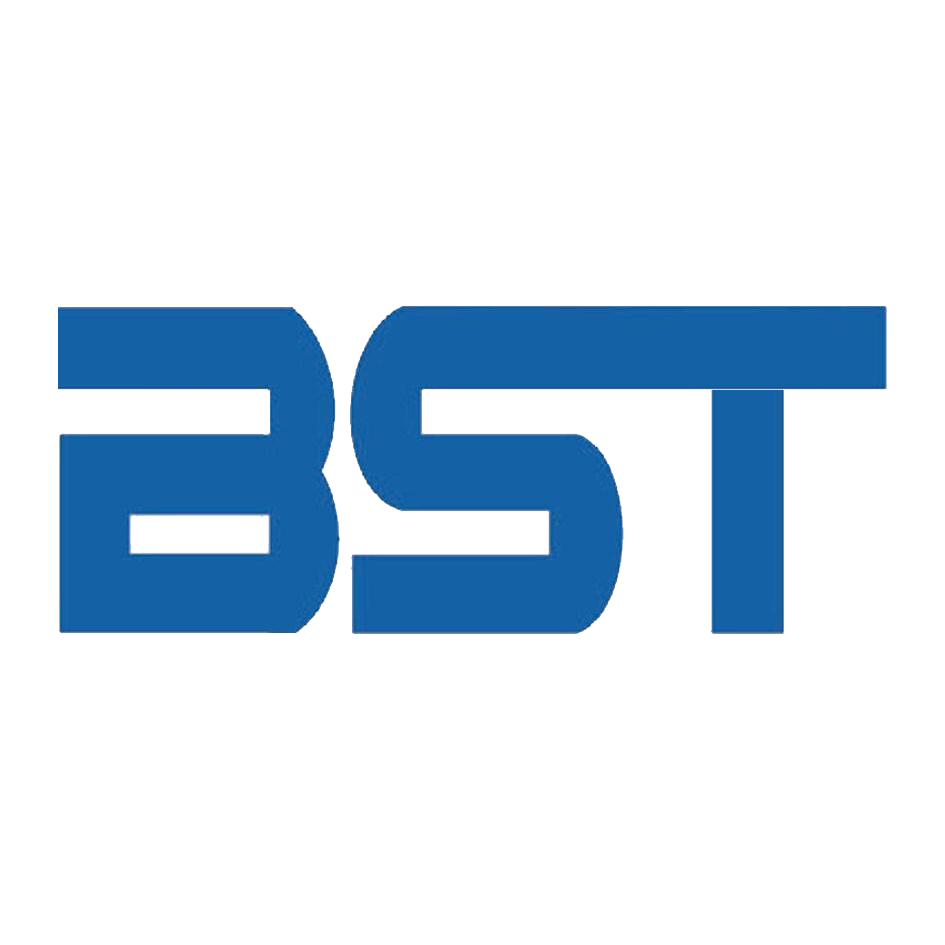 Shandong Baisitong Industrial Co., Ltd. logo