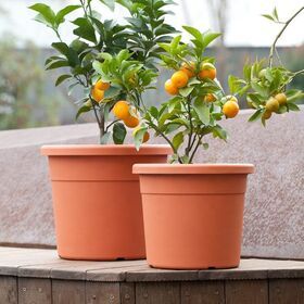 Wholesale Outdoor Indore Decorative  Large Garden Cement 10" Inch Plastic Plant Pots for Indoor Plants