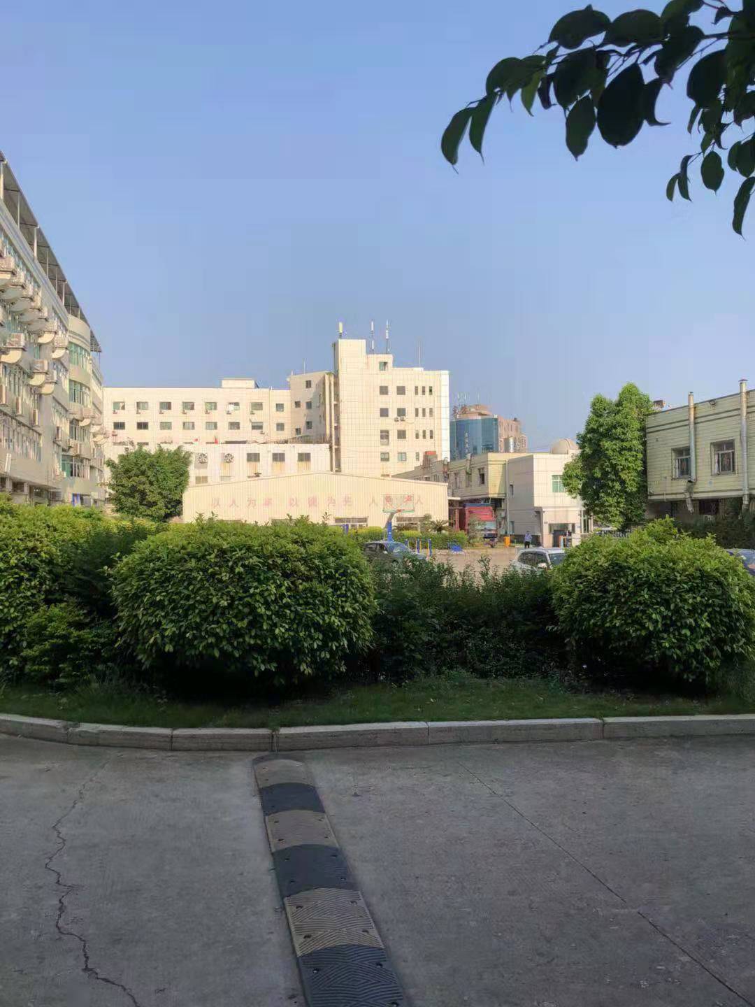 Yiwu Qiongyu Trade Co., Ltd. Natural Stone Bracelets