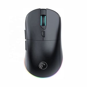 Spot Goods Ultra Custom 26000 DPI USB Type-C Cable Rechargeable RGB Optical 2.4 GHz Blueteeth Wireless Lightweight Gaming Mouse