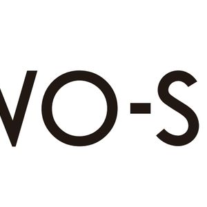 Company icon