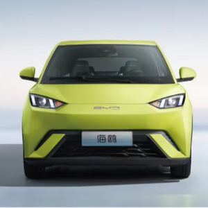 2024 EV BYD Seagull honor fly Electric Car Adult Small Electric Cars Adults Vehicle BYD Seagull Flying BYD Seal 405km