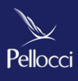 Donghai Pellocci Crystal Products Co., Ltd. logo