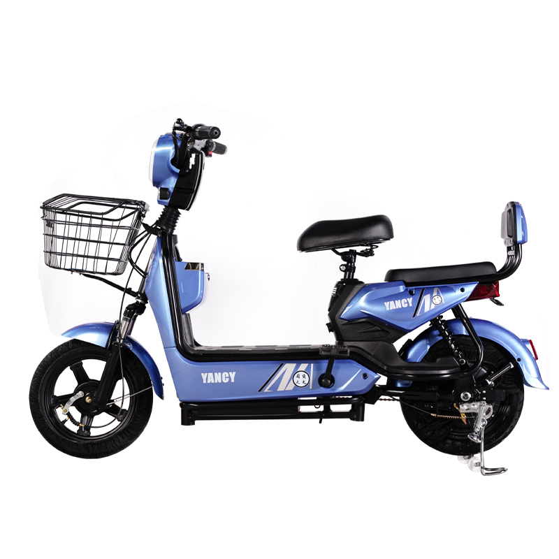 Shandong Laide Precision Technology Co., Ltd. Latest Fashionable Electric Bike Factory Supply 350W Lead Acid Battery Big Battery Cheap Electric Bike for Adults