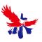 Company icon