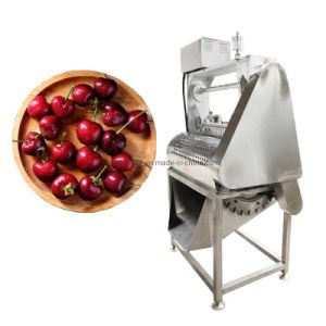 Cheap Lychee Longan Olive Jujube Plum Stoner Machine Dates Stoner Cherry Pitter
