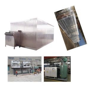 100kg Per Hour Fluidized IQF Quick Freezer for Sliced Products