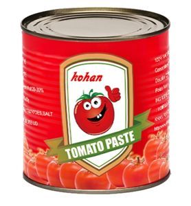 425g Double Concentrate Normal Lid and Easy Open Chinese Canned Tomato Paste