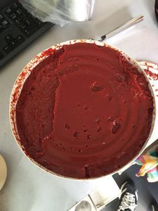 850g 100% Pure Non-GMO Europe Standard Canned Tomato Paste