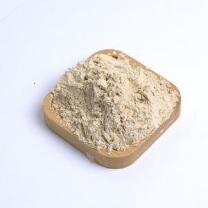 Chinese Factory Direct Supply Garlic Powder with Root 100-120 Mesh for Seasoning Spice