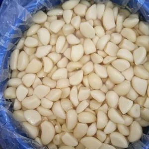 Best Quality Spice/New Crop Garlic Cloves in Brine From Chinese of Origin