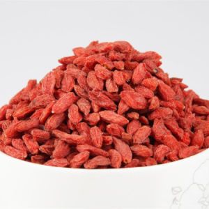Wholesale 100% Dried Goji Berry Chinese Wolfberry