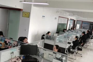 ct9aqr1gv6tc73b8jipg.webp