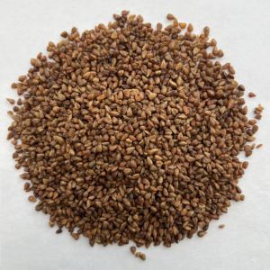 Chinese Loose Herb Slimming Tea Roasted Black Buckwheat