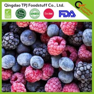 New Season Good Price IQF Frozen Mixed Berries - Blueberry Raspberry Strawberry Blackberry Cranberry