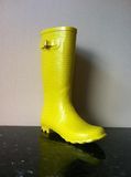 Rubber Boots