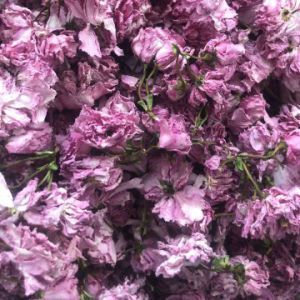 Ying huanatural dry sakura flowers dried cherry blossom flower edible tea
