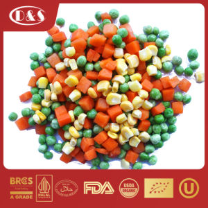 Supplier Wholesale Bulk Price IQF Frozen Vegetables Mixed for Greenhouse