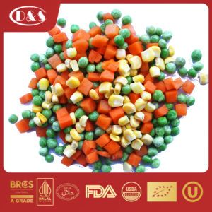 Supplier Wholesale Bulk Price IQF Frozen Vegetables Mixed for Greenhouse