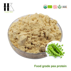 Food Grade High-Quality Non-GM Free of Hormones, Free of Cholesterol and No Allergen Pea Protein 80% 85%