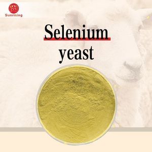 Hot Sell Feed Additive Selenium Enriched Yeast Powde Selenomethionine