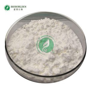 Nootropics Medicine Raw Material Pramiracetam Powder CAS 68497-62-1 Pramiracetam