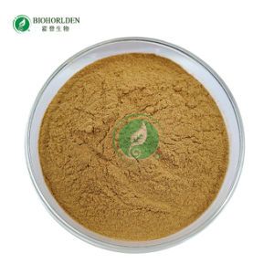 Raw Powder Siberian Ginseng Extract 0.2%-10% Bulk Buy Acanthopanax Senticosus Extract