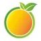 Company icon