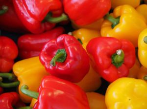 IQF Frozen Mixed Bell Pepper, Pepper Blended