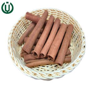 Fresh Natural Cinnamon Stick Food Flavor Cassia Cigar