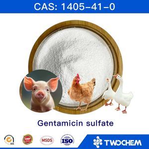 Twochem Supply Pharmaceutical Raw Materials Powder for Septicemia Aminoglycoside Antibiotics Gentamycin Sulfate CAS 1405-41-0