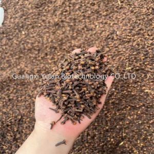 Natural Seasoning Crop Dried Cloves Top Grade Cooking Spices